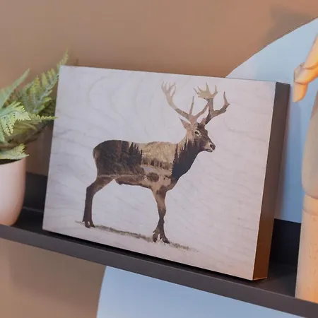 Nordic Style - 5 Min Dall'arena & Parcheggio Apartment Verona